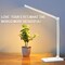 LED Desk Lamp Dimmable Table Lamp Reading Lamp with USB Charging Port, 5 Lighting Modes, Sensitive Control, 30/60 Minutes Auto-Off Timer, Eye-Caring Office Lamp